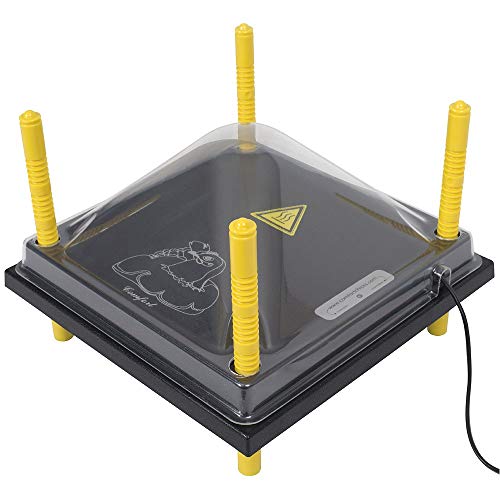 Chick Brooder Heating Plate & Anti-Roost Cone Set - Warms Up to 20 Chicks - 22 Watts (12x12)