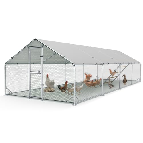Large Metal Chicken Coop, Outdoor Chicken Run with Cover, 10 x 26 x 6.5 FT | Heavy-Duty Poultry Enclosure & Chicken Pen with Split Doors, Galvanized Steel Frame, Free Wire Mesh Fence and Roosting Ladder - size: 10' x 26'