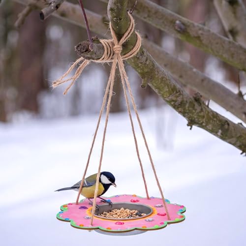 CroBlissful 12 Pack Bird Feeder Craft Kits for Kids DIY Your Own Bird Feeders with Paint and Paintbrushes Wooden Arts and Crafts for Kid Ornaments to Paint Feeders Craft for Garden (Cloud) - style: Cloud