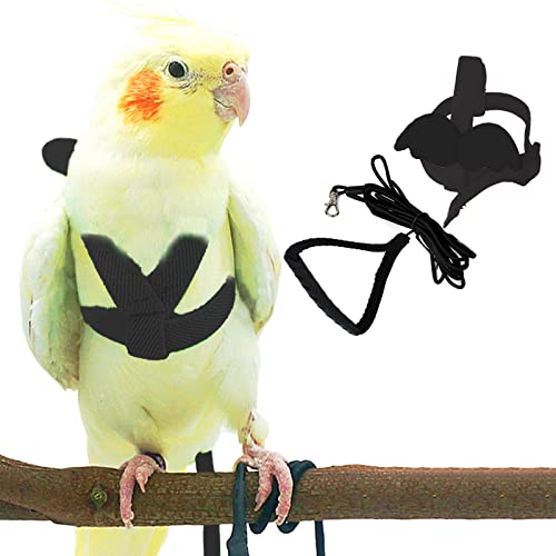 Dnoifne Pet Parrot Bird Harness and Leash, Adjustable Training Design Anti-Bite, Bird Nylon Rope with Cute Wing for Parrots, Suitable for Scarlet, Keck, Mini Macaw and Same Size Birds (Black) - color: black