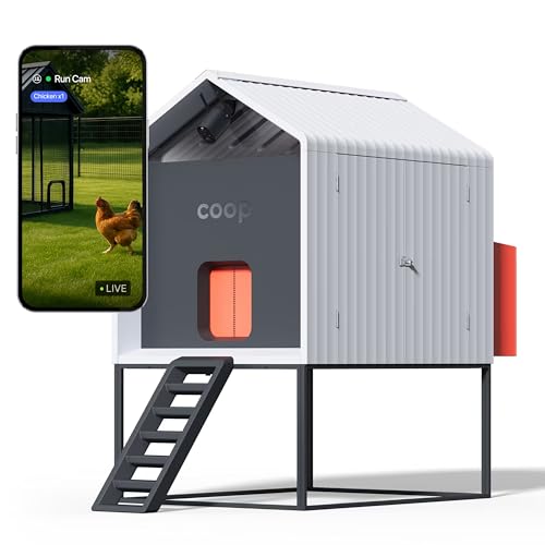 Smart Coop with Base – Weatherproof, Predator-Proof Chicken Coop with Dual Smart Cameras, Automatic Door, Solar Optional for 4-6 Chickens - size: 31.0"L x 30.0"W x 40.0"H