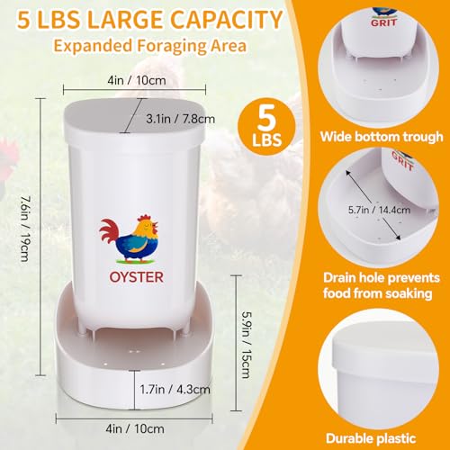 FoldTier 2 Pcs Chicken Oyster Shell Feeder and Grit Feeder for Quail, Pigeons, Doves, Chicks, Chicken Coop Accessories for Rust Prevention Comes with Installation Tools