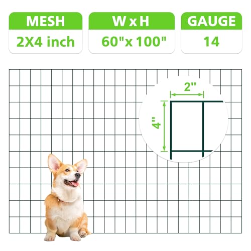 Green PVC Coated Welded Wire Fencing,2"x4" 14 Gauge,60inch H x 100ft L Garden Wire Fence Roll,2/3/4/5/6ft Tall x 50/100 ft Long Hardware Cloth Metal Mesh for Yard,Farm,Chicken,Dog,Vegetable Protection - color: Green, size: 2"x4" 60inx100ft