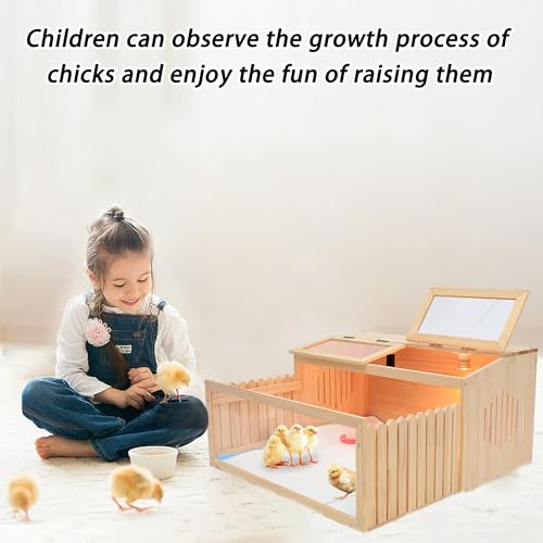 Large Chicken Brooder Box for Chick,Wooden Brooder Box 32" with Bulb Set and Thermometer - Accommodates Up to 25 Chicks-Ideal for Ducks,Quails,Hamsters,and Lizards（32x16x16 Inches）