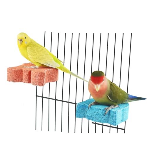 2Pcs Bird Beak Grinding Stone Perch Parrot Calcium Chewing Claw Trimmer Toy | Bird Cage Natural Volcanic Rock Mineral Platform Stand, Chinchillas Rabbits Lava Blocks Chews for Teeth, Small Medium Parrots