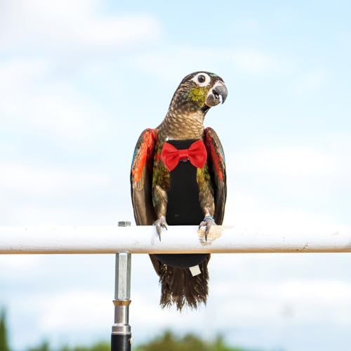 POPETPOP Washable Bird Diaper Suit Reusable Parrot Flight Clothes with Bow Adjustable Lightweight Breathable Nappies for Budgie Parakeet Pigeon