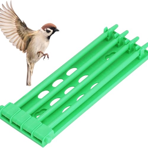 Poultry Leg Ring Storage Rack Plastic Storage Container for Racing Pigeon Leg Bands 7.86 x 2.75 x 0.59 inches Bird Care and Management Accessories Green