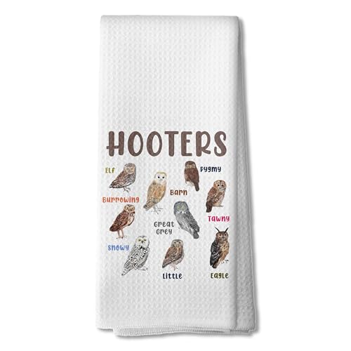Owl Kitchen Towels, Owl Lover Gifts Dish Tea Towels for Kitchen Decor, Gifts for Bird Lovers Watcher Hand Towel for Bathroom, 16x24 Inch - color: 01color