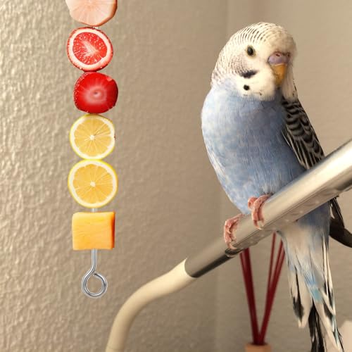 3Pcs Bird Food Holder Cage Food Holder Stainless Steel Small Animal Bird FoodTreats Skewer Hanging Vegetable Fruit Feeder Feed Treating Tool Parrots Cockatoo Cockatiel (Silver)