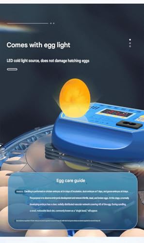 JUJOJB 12-Egg Incubator with Automatic Turner and Temperature Control | Humidity control, built-in egg candler, 360-degree clear window. For chicken, duck, quail, turkey eggs. Adjustable dividers. - color: Blue