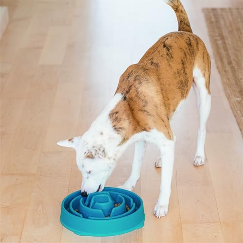 Outward Hound Fun Feeder Slo Bowl – Large 4‑Cup Capacity, Slow Feeding, Medium to Large Dogs, Non‑Slip, Turquoise, Drop Pattern - color: Turquoise, size: Large