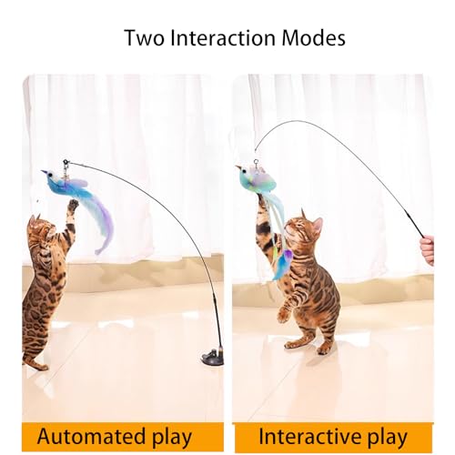 Cat Toys Interactive Hands-Free 6 Pack Cat Toys for Indoor | Cats Toy Wand Natural Bird Feather, Suction Cup Pet Indoor Dancing Playing Toys, Suction Cup Pet Dancing Playing - color: GREY