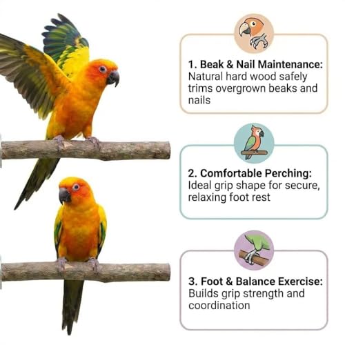 8PCS Bird Perch Stand, Natural Wood Parrot Stand Branch Paw Grinding Y Fork,Bird Cage Branch with Wooden Hanging Perch Platform Hammock Swing Toy for Small Parakeets,Budgies,Cockatiels,Conures,Finches