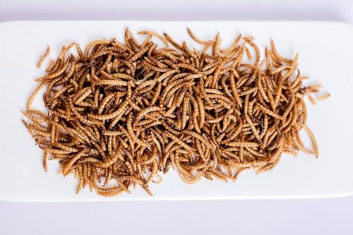 kimoe Non-GMO Bulk Dried Mealworms 10LB Bag for Chickens, Ducks & Wild Birds — 100% Natural High-Protein Feed to Boost Egg Production, Feather Health & Immunity - size: 10 Pound (Pack of 1)