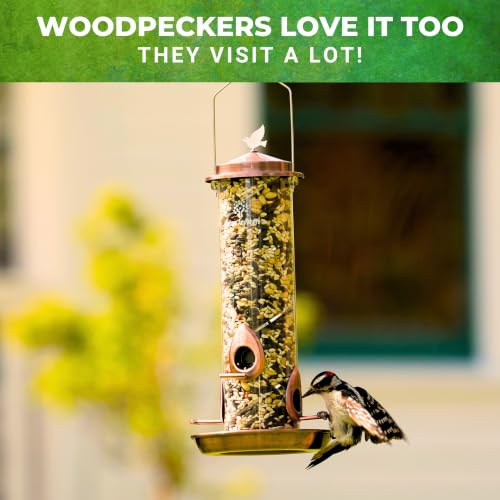 2 in 1 Spiral Bird Feeder, Hanging Bird Feeders for Outdoors, Copper Tube | finch feeders for outside, cardinal and blue jay magnet, copper metal tube bird feeder, two seed chambers, rain proof top