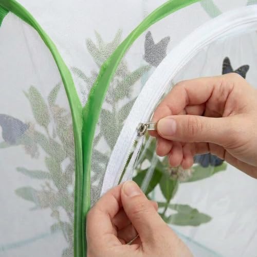 Insect & Butterfly Habitat Cage, Portable Pop-Up Terrarium with Mesh Sides, Bug Catching & Observation Enclosure for Caterpillars, Small Insects, Outdoor & Classroom Use, 12 Inches Tall - color: White/Green, size: 12 × 12 × 12 inches