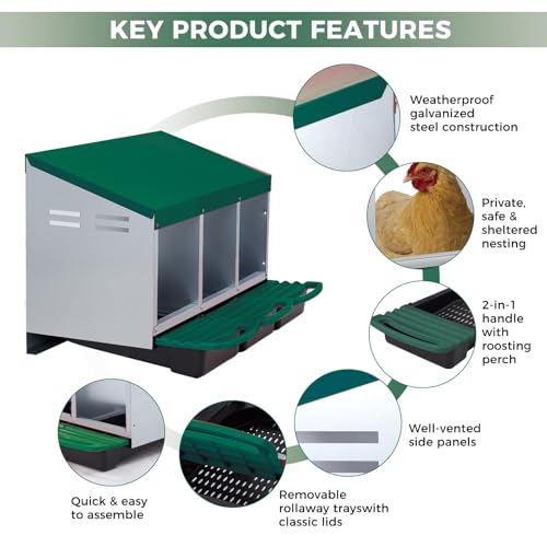 Garvee 3-Hole Rollaway Chicken Nesting Box for Hens –Chicken Nest Box with Removable Trays, Easy Egg Collection & Cleaning, Wall Mount or Freestanding, Sturdy Chicken Laying Boxes, Green - color: Green-3 Hole