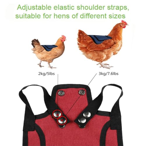 Outdoor Chicken Aprons Clothes 6 Pcs Chicken Saddle For Hens Hen Saddles with Elastic Adjustable Strap