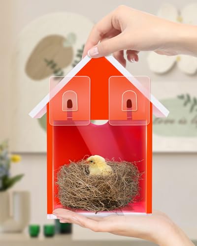 Water Proof Window View Bird House for Outside with 2 Powerful Hooks,Vinyl Birdhouse for Viewing Inside, Multifunctional Entrance For Various Birds 1.25" + 1.5" Hole, 10 Years Performance (Red）