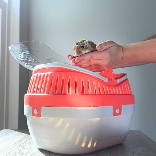 Trixie Pico Transport Crate - Portable Pet Carrier Great for On-The-Go - Traveling Cage for Small Pets, Hamsters, Guinea Pigs, Lizards, and More | Portable Pet Carrier, Ideal for On-The-Go, Traveling Cage for Small Pets, Hamsters, Guinea Pigs, Lizards - s