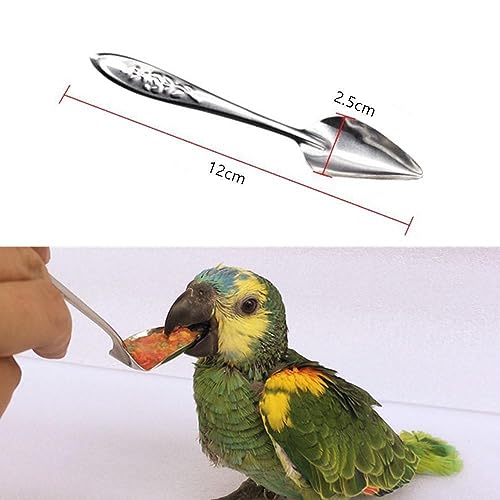 6 Pcs Stainless Steel Bird Feeding Spoon - Narrow Tip for Baby Birds Young Pet Birds, Parrot Milk Spoon Fit Finch Canary Cockatiel Hand Feeding,Spoons for Feeding Nestlings/Hatchlings