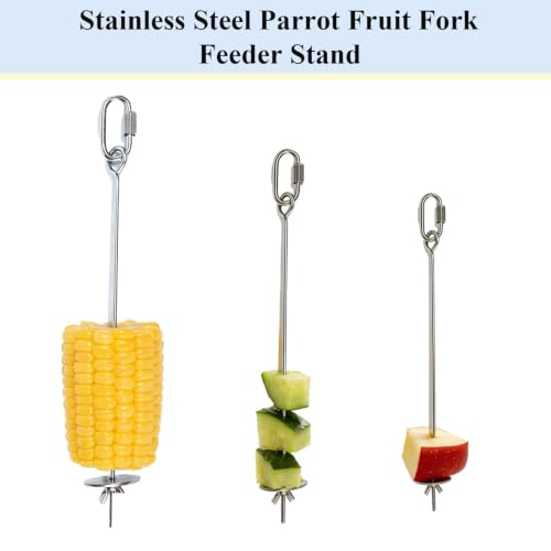 6PCS Stainless Steel Long Medium Short Fruit Forks Bird Cage | Parrot Vegetable Feeding Snack Rack Bird | Toys for Parakeets | 3 Hook 3 Chains