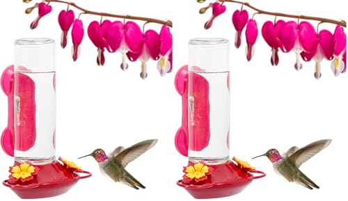 Perky-Pet 455-2 Mounted 445-2 Glass Window Hummingbird Feeder, Red – 14 oz (Pack of 2) - size: (Pack of 2)