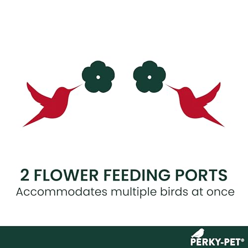 Perky-Pet 455-2 Mounted 445-2 Glass Window Hummingbird Feeder, Red – 14 oz (Pack of 2) - size: (Pack of 2)
