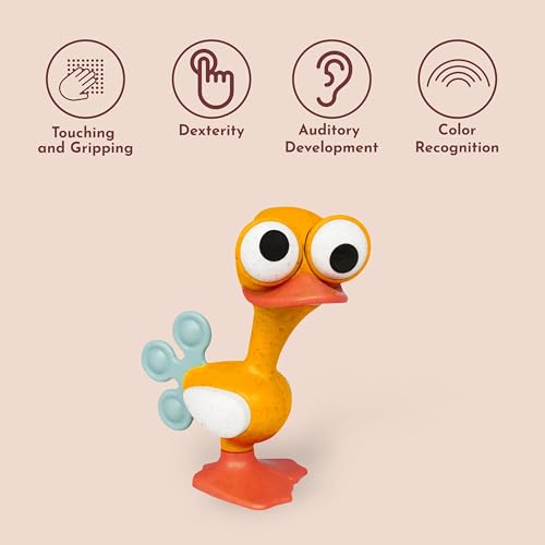 Tolo Crazy Eyed Bird | Interactive Toy for Babies 3+ Months Teething Relief | movable eyes, clicking head & feet, squeaking wings, rattle sound, sensory, teething baby toys, developmental play, fun gift - color: Crazy Eyed Bird