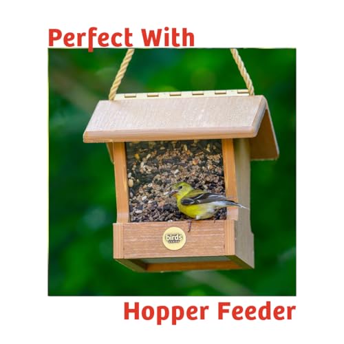 Birds Choice Cardinals Crave Bird Seed Wild Bird Food | Nutrient-Rich Bird Seed Blend | High-Energy with Safflower, Black Oil Sunflower Seeds & Peanuts | High Protein & Fat for Cardinals | 5 lbs | High-Energy Blend of Safflower, Black Oil Sunflower Seeds