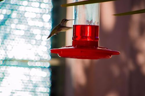 Rocky Mountain Goods Hummingbird Feeder – 16 oz Bright Red Plastic – Wide Mouth for Easy Filling and Cleaning – Includes S-Hook – Multiple Feeding Ports for More Hummingbirds
