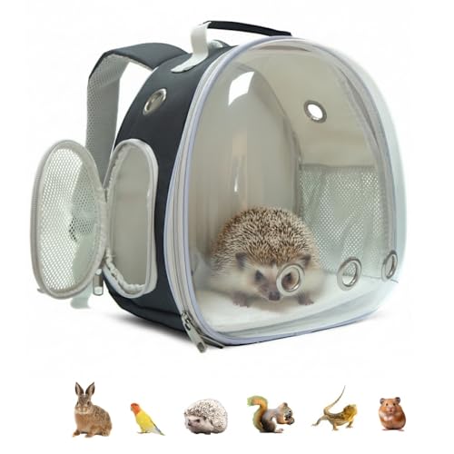 Small Animal Carrier Guinea Pig Backpack,Transparent, Breathable Backpack Carrier for Hedgehogs, Rabbits, Birds, Squirrels, Hamsters, Lizards Comfortable, Portable Travel Bag for Small Pets (Black) - color: Black