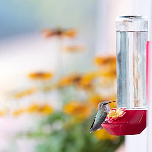 Perky-Pet Window-Mounted Glass Hummingbird Feeder - 14 fl oz Nectar Capacity - Entertaining Bird Watching - Glass Window Bird Feeder - 455-2 - Family Birdwatching - size: (Pack of 1)
