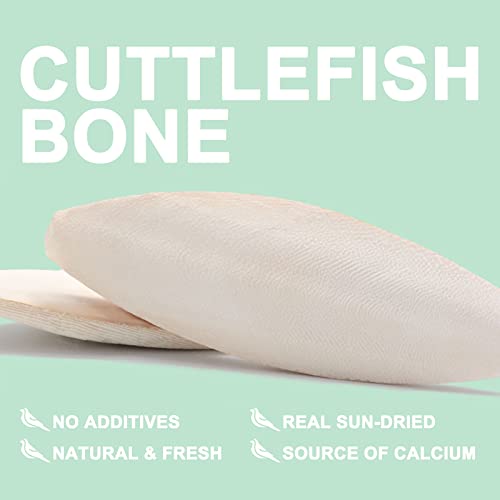 Natural Cuttlebone for Birds Parakeets Canaries Cockatiels Small Conures Mynahs Toucans African Greys All Parrots Snails Totoise, with Holder for Bird Cage (6-6.5 inch,2PCS) - size: 6-6.5 Inch (Pack of 2)