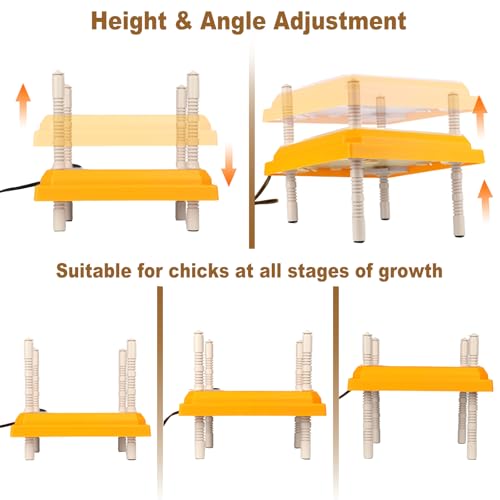 Chick Brooder Heating Plate,10"x10" Heat Plate for Chicks with Thermostatic Anti-Slip Adjustable Height & Angle,15 Watts Brooder Heater for Chicks Warm Like Mother Hen