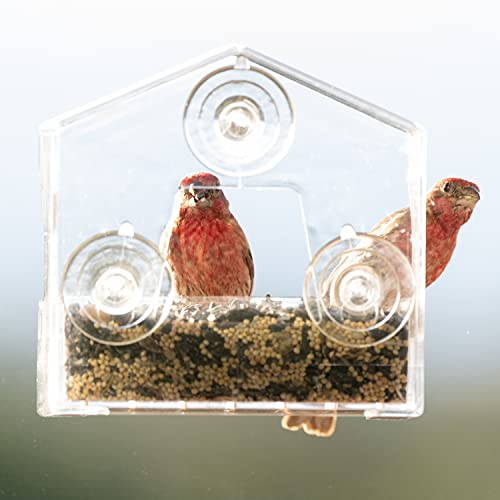 Perky-Pet Clear Outdoor Window Bird Feeder with Strong Suction Cups – 1/2 Lb Seed Capacity - Perky Pet 345 - Entertaining Bird Feeding - Watch Birds Eat Seeds - size: .5 LB Capacity