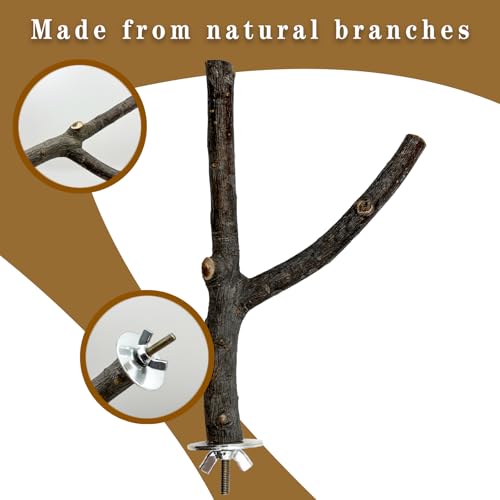 5Pcs Natural Wooden Bird Perch Set – Parrot Perch Toys, Wooden Perch Swing, Cage Accessories for Budgies, Cockatiels, Lovebirds, Finches, and Other Small to Medium Birds (Brown, 5PCS-B) - size: 5PCS-B