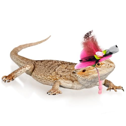 6-Pack Mini Chicken Hats for Hens, Dolls Hats, Cute Decorations | Cotton & Polyester, 2.76 in (7 cm), Adjustable Chin Strap, Fits Small Animals - style: Single-Flower-Suede-1
