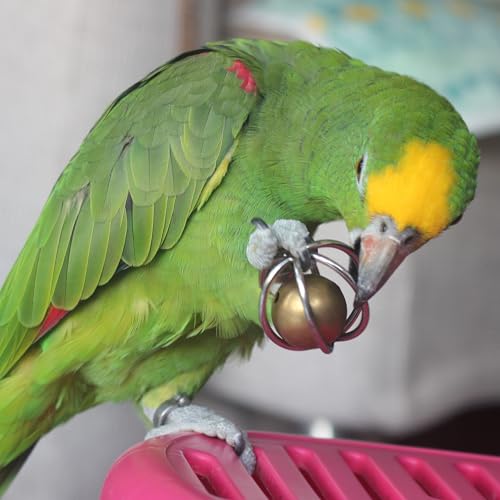Heavy-Duty Stainless Steel Large Parrot Toy — Chew-Proof Foraging Ball (with Bell), Suitable for Macaws, Eclectus Parrots, Amazon Parrots, etc. (Mini) - size: Mini