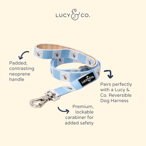 Lucy & Co. Bumbling Around Dog Leash, Durable Matching Dog Lead with Heavy Duty Hardware, Large - color: Bumbling Around, size: Large