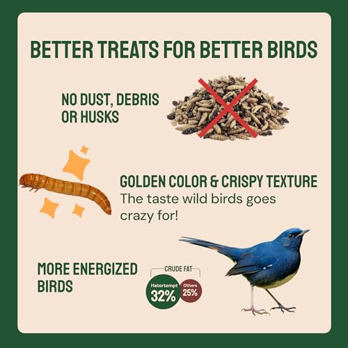 Hatortempt 2lb Dried Mealworms for Chickens, Birds, High Protein Bird Feed | High-Protein Wild Bird Food - Organic Diet Meal Worms - Hand Inspected Treats for Blue Birds, Robin, Ducks - 2 Yr Shelf Life - size: 2 Pound (Pack of 1)