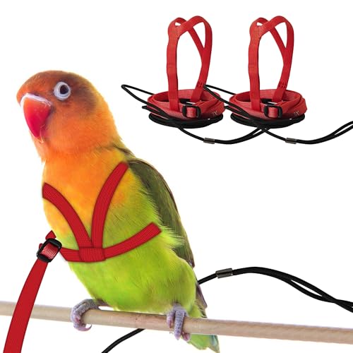 2 pcs Pet Parrot Bird Harness and Leash, Adjustable Training Design Anti-Bite, Outdoor Flying Training Rope Kit for Bird Parrots Fits Birds Chest Between24-51cm /9.45-20inch - M (red - color: red, size: Small to Medium