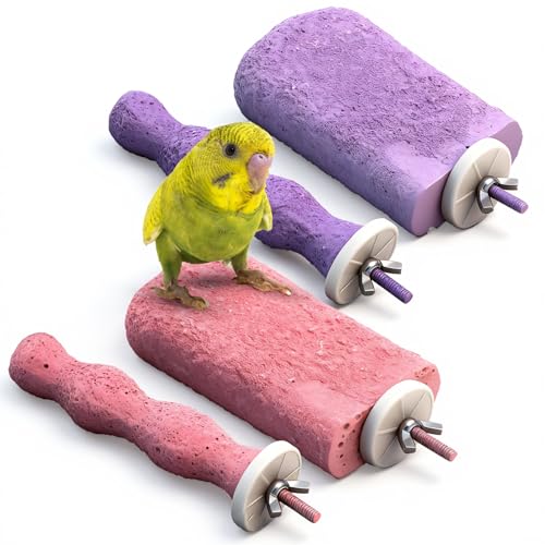 Soulchen 4 Pcs Bird Beak Grinding Calcium Stone Perches Large 4.8 Inch Parrot Teeth Mouth Molar Cage Platform Paw Grinding Sticks Jumping Stand for Macaws Parakeets Finches Cockatiel(Purple,Pink)