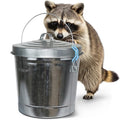 Plexon 6 Gallon Small Metal Trash Can with Lid Outdoor Locking Galvanized Metal Garbage Can with Lid for Poultry Feed Bird Seed Storage Ash Galvanized Bucket - size: 6-Gallon