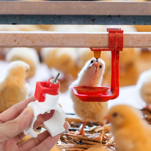 VICASKY 20 Pcs Chicken Waterer Nipples Ball Nipple Chicken Feeders for Coop Watering System Easy Install Water Supply Parts for Chickens Ducks Quail Poultry Feeding