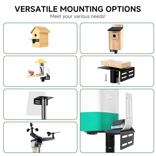 79" Smart Bird Feeder Pole Stand with 19" Proof Squirrel Baffle - Dia 1 Inch Bird House Pole for Camera Birdfeeder, Feeding Station for Outdoors Heavy Duty, Compatible Post Mount - size: 79IN