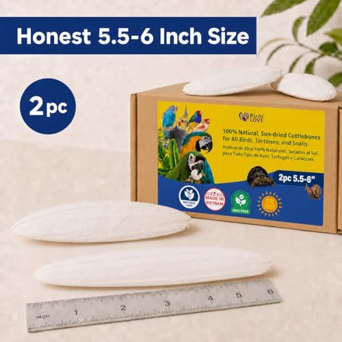 Birds LOVE 5.5-6″ Cuttlebone for Birds – 100% Natural Sun-Dried Calcium & Beak Conditioning Supplement for Parakeets, Budgies, Cockatiels, Finches & Canaries – 2 Pack with Holder – Made in Vietnam - size: 2 Count (Pack of 1)