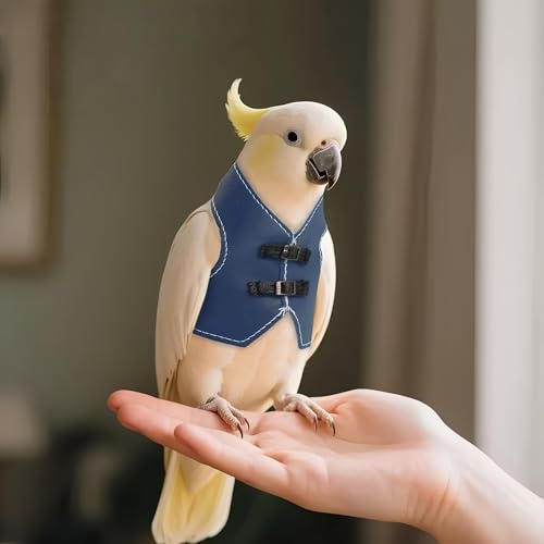 Bird Clothes, Parrot Leather Jacket, Cute Bird Costume Cosplay Photo Prop, Parrot Apparel for Eclectus, Budgerigar, African Greys Parakeet, Conure, Cockatiel, Love Birds-Cowboy Style,Blue,L - color: Blue, size: Large
