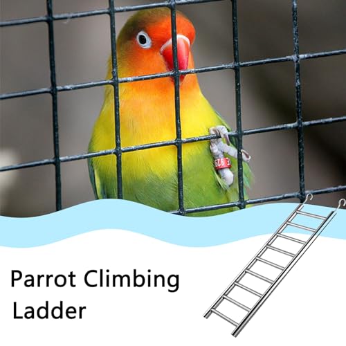 Stainless Steel Bird Ladders 9-Step Parrot Ladder Hanging Bird Cage Climbing Toys with Hooks Birds Exercise Toy for Parakeets, Parrots, Cockatoo，Rust-Resistant and Easy to Clean (1 PCS) - color: 1 PCS