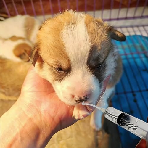 Baby Bird Feeding Syringe Kit,Hand Feeding Syringe for Birds,Pet Syringe Feeding Tool, Parrot Feeding Tubes Set for Small Baby Birds Pet Kittens (C) - color: C